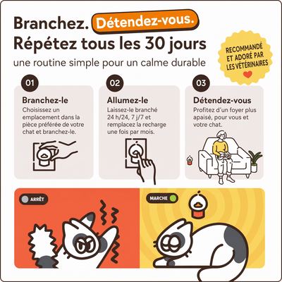Alvega – Kit Diffuseur Apaisant pour Chat