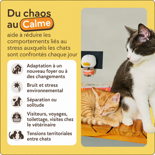 Alvega – Kit Diffuseur Apaisant pour Chat